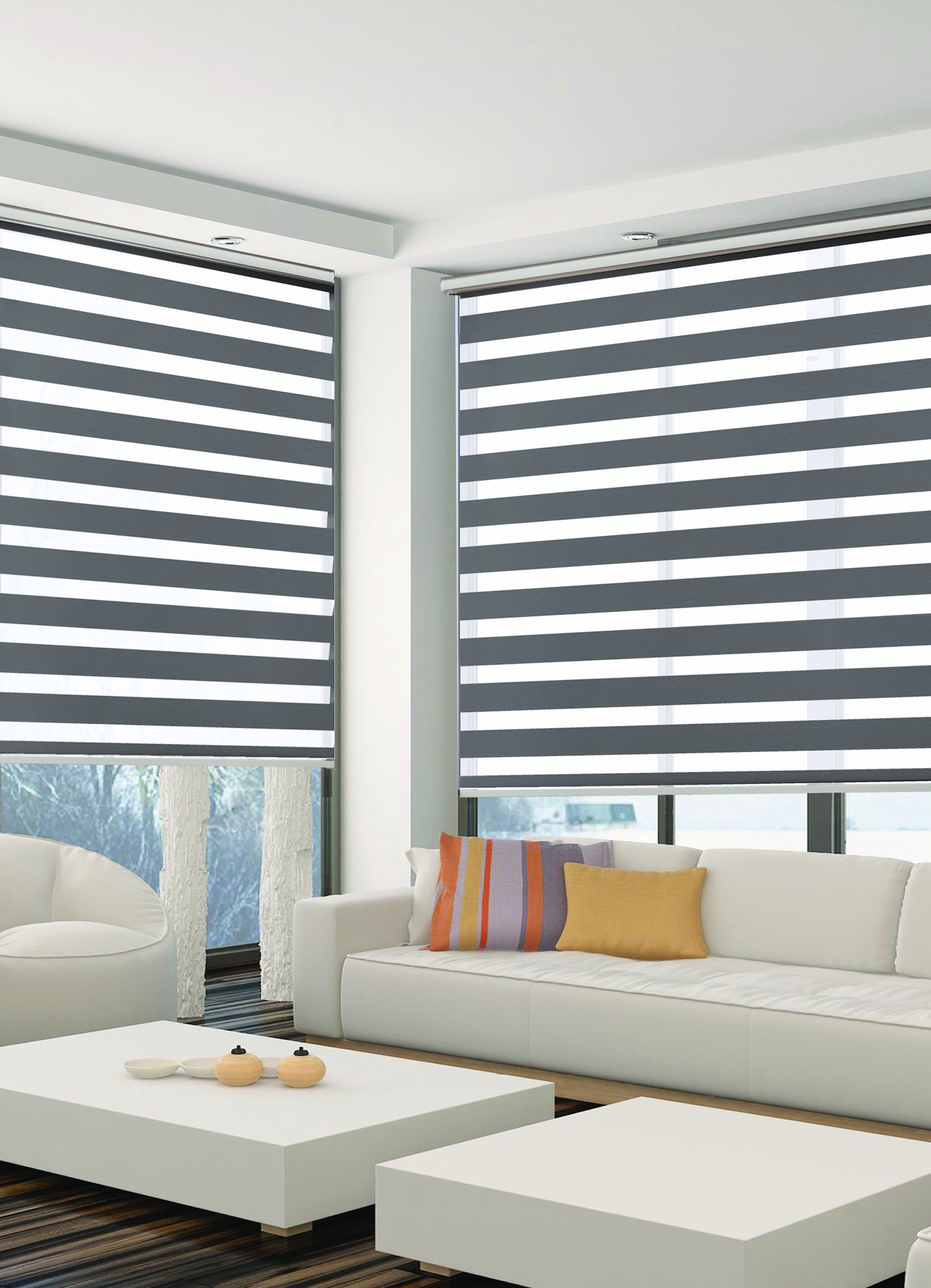 Motorized Blinds